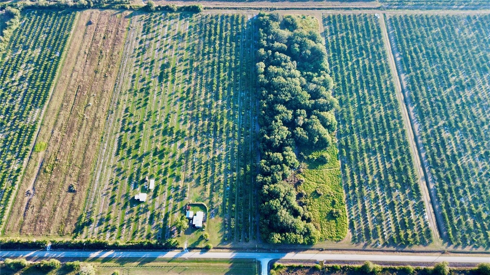 2205 Hicks Rd Property Photo 5
