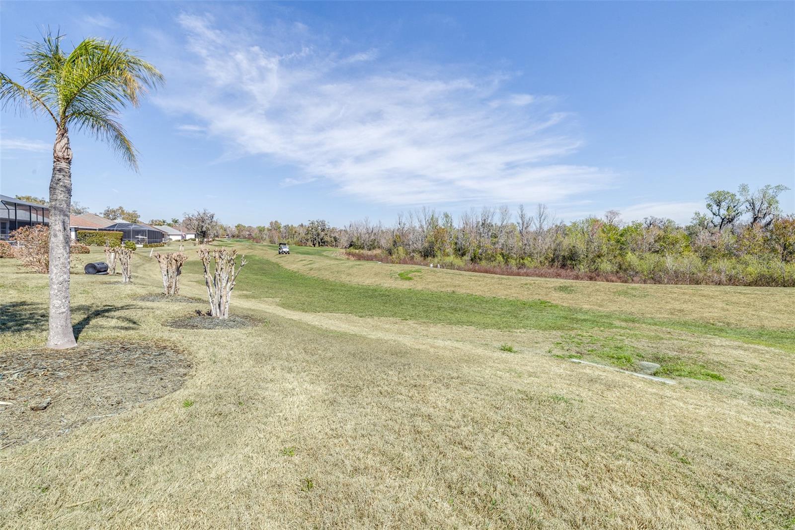 6779 Huntington Hills Blvd Property Photo 28