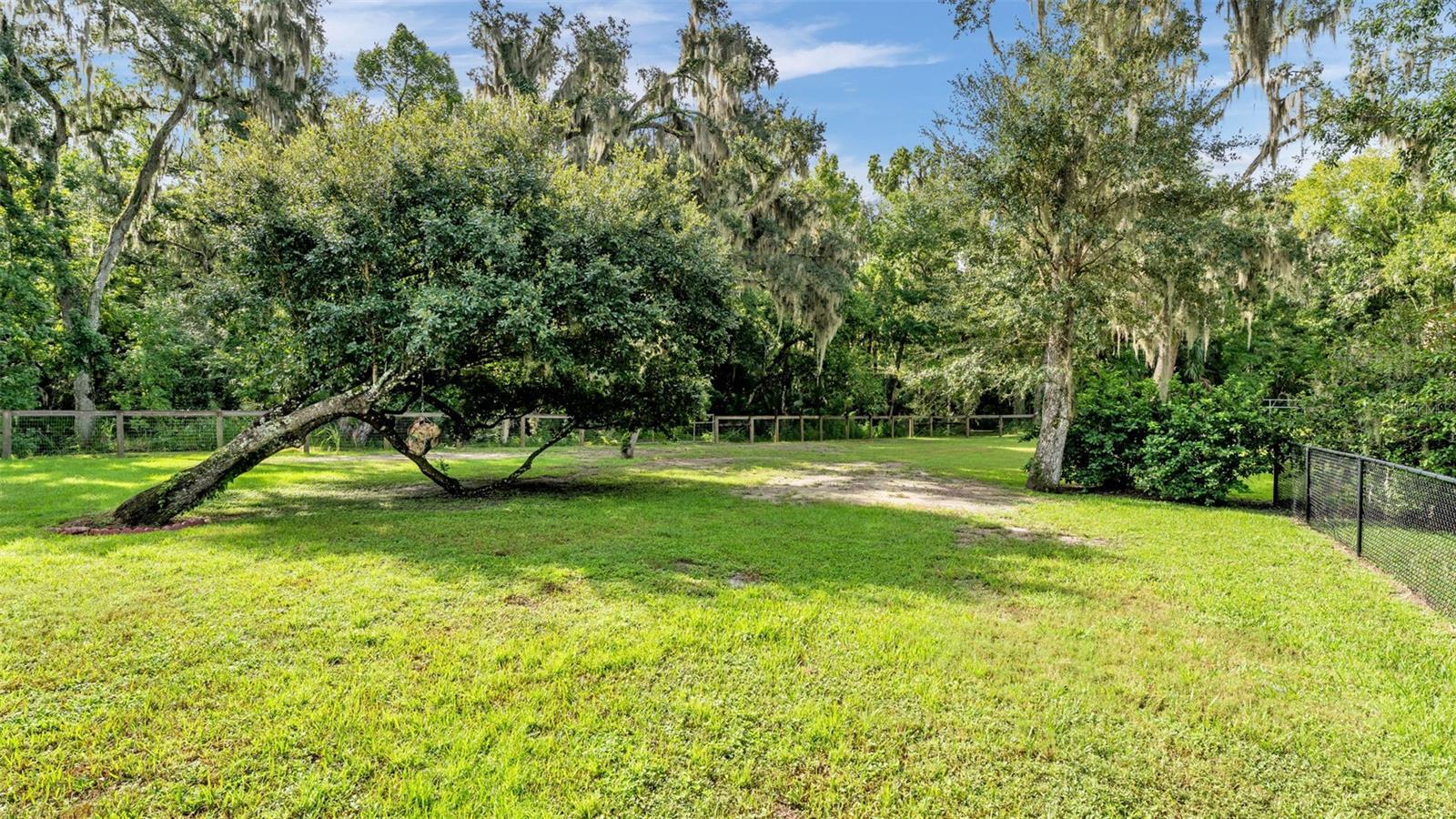 6400 Forestwood Dr E Property Photo 56
