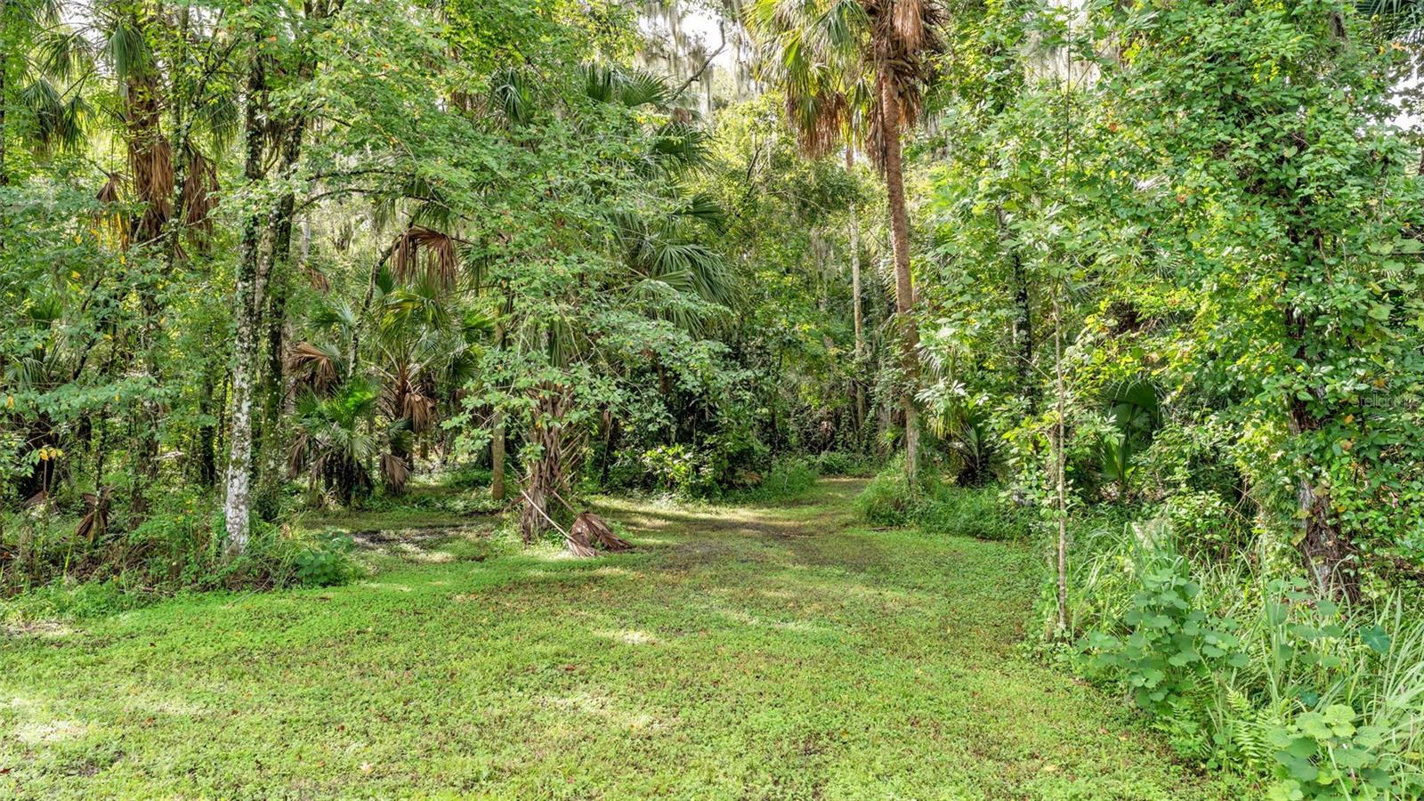6400 Forestwood Dr E Property Photo 64