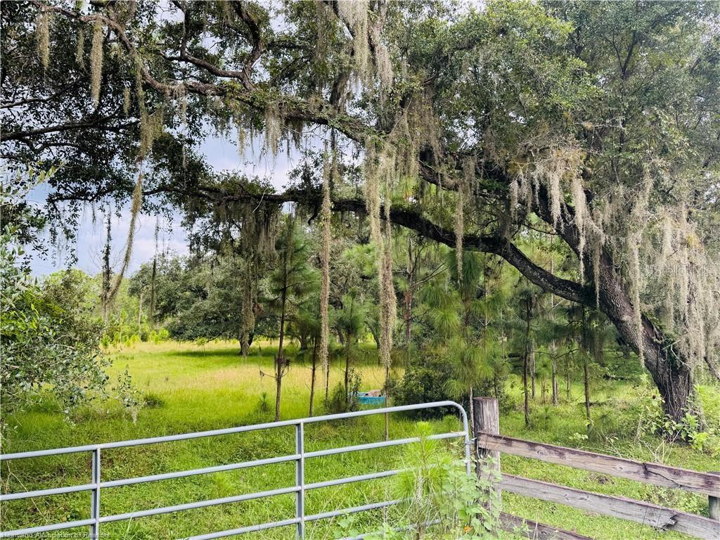 Detjens Dairy Rd Property Photo 8