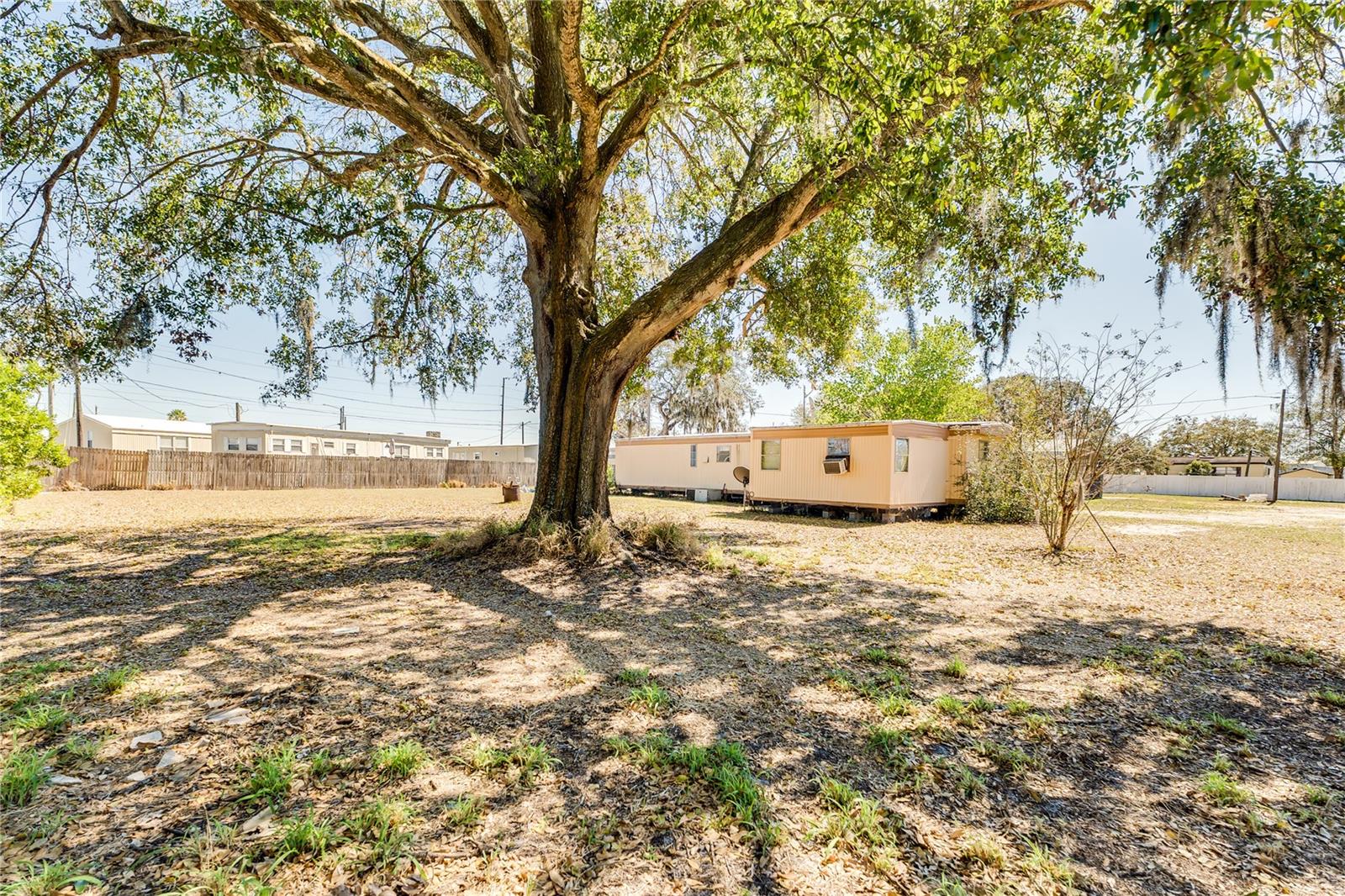 151 Wild Flower Dr Property Photo 7