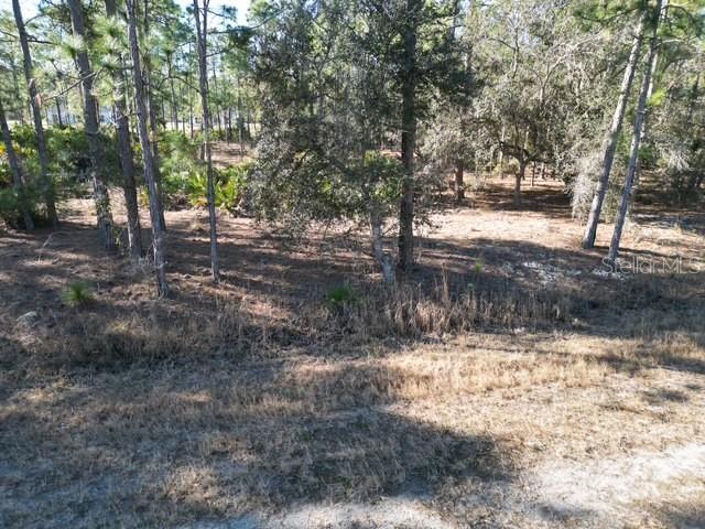 705 Laguna Dr Property Photo 11