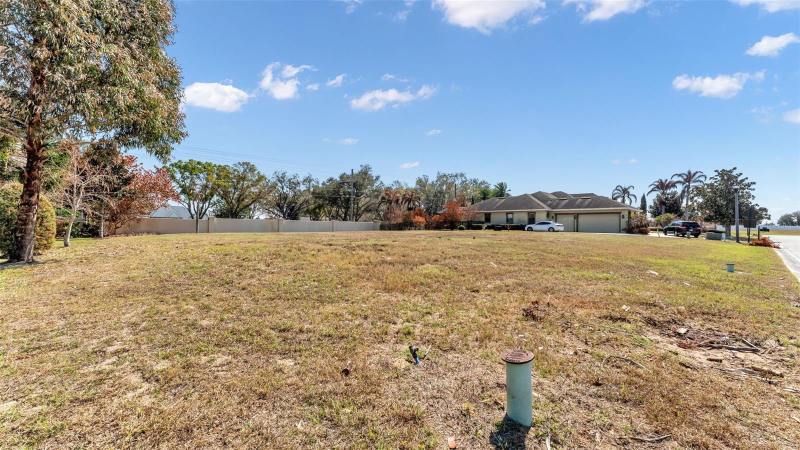 4410 Emerald Palms Ln Property Photo 5
