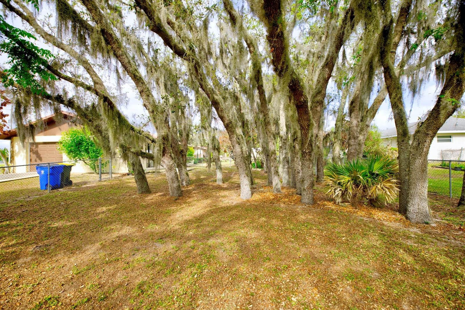 2052 W Stryker Rd Property Photo 42