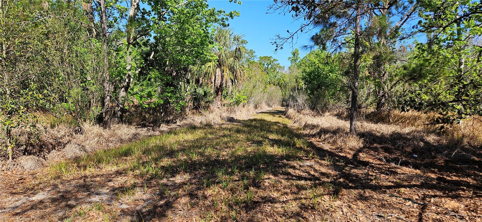 6336 Timberlane Rd Property Photo 3