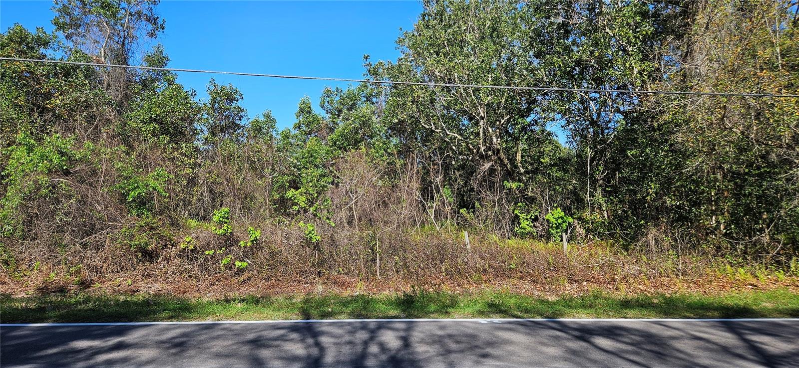 6336 Timberlane Rd Property Photo 5