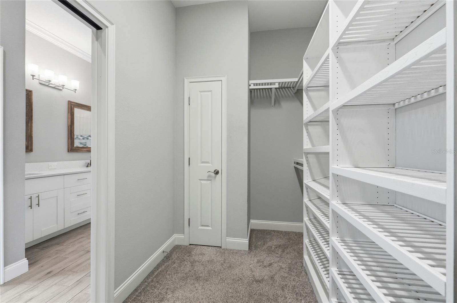 539 Waterfern Trail Dr Property Photo 27