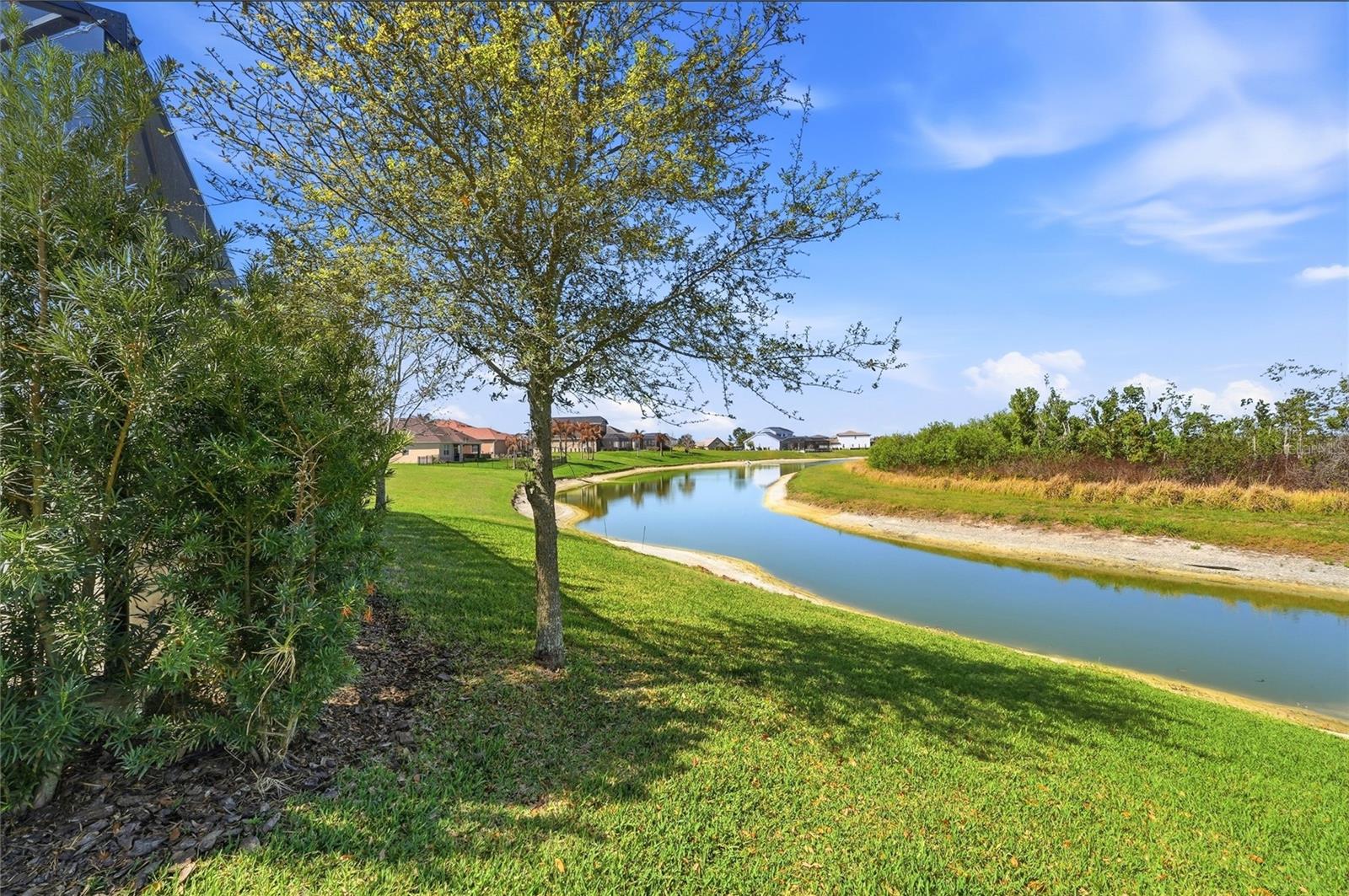 539 Waterfern Trail Dr Property Photo 49