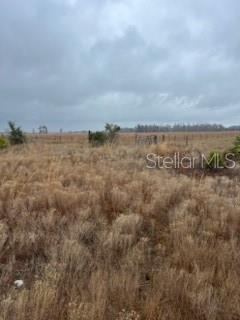 1137 Hopkins Ln Property Photo 4