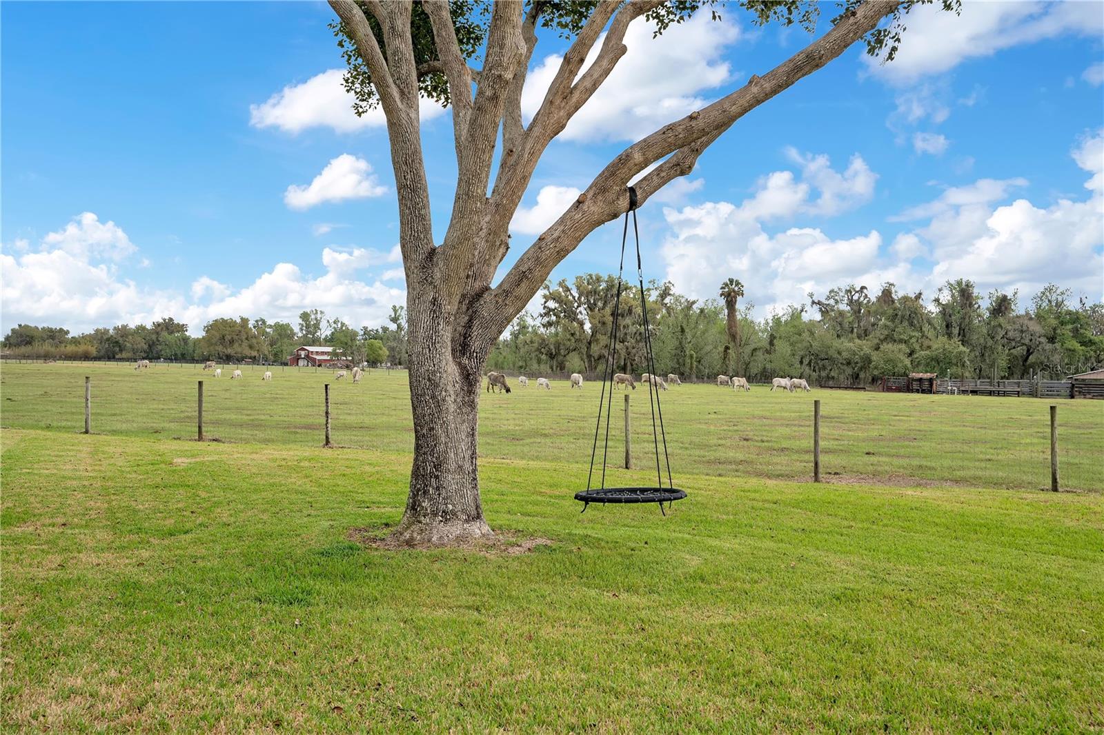 1401 Buell Ct Property Photo 49