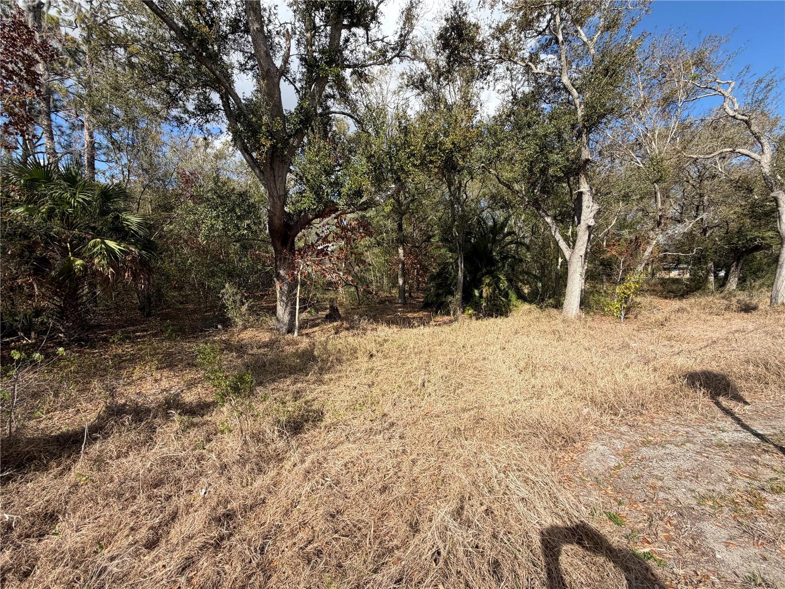 3500 Sebring Pkwy Property Photo 7