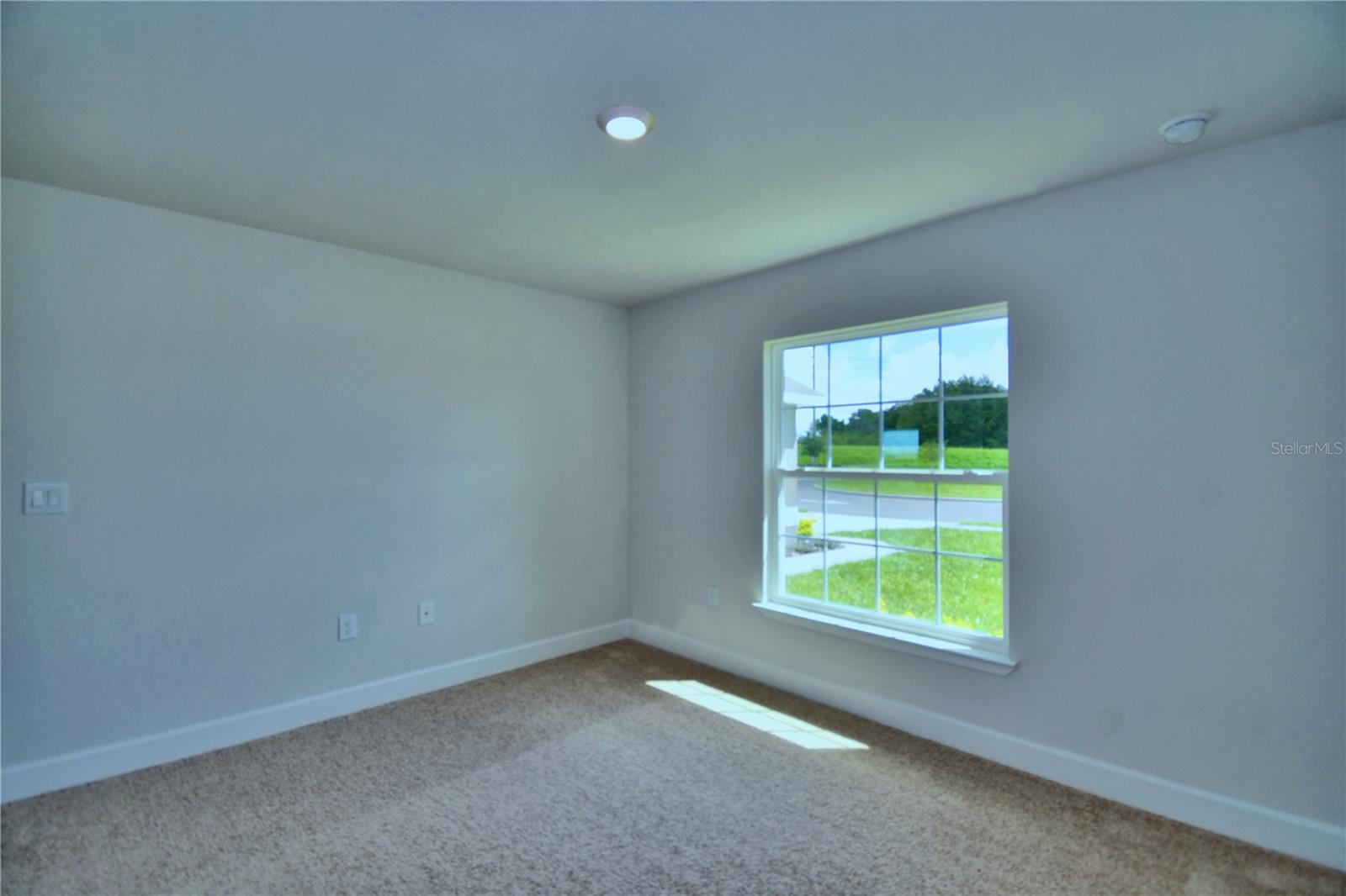 4607 Calamint Ln Property Photo 20