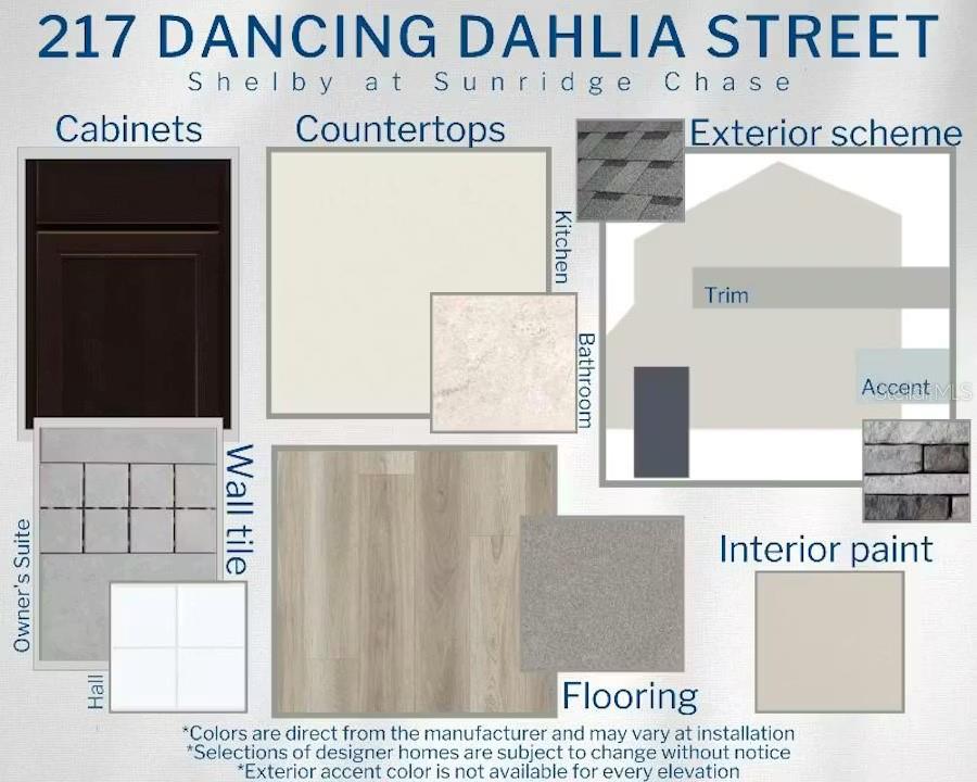 217 Dancing Dahlia St Property Photo 3