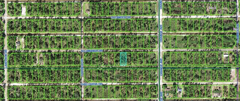 0 Allamanda Dr Property Photo 12