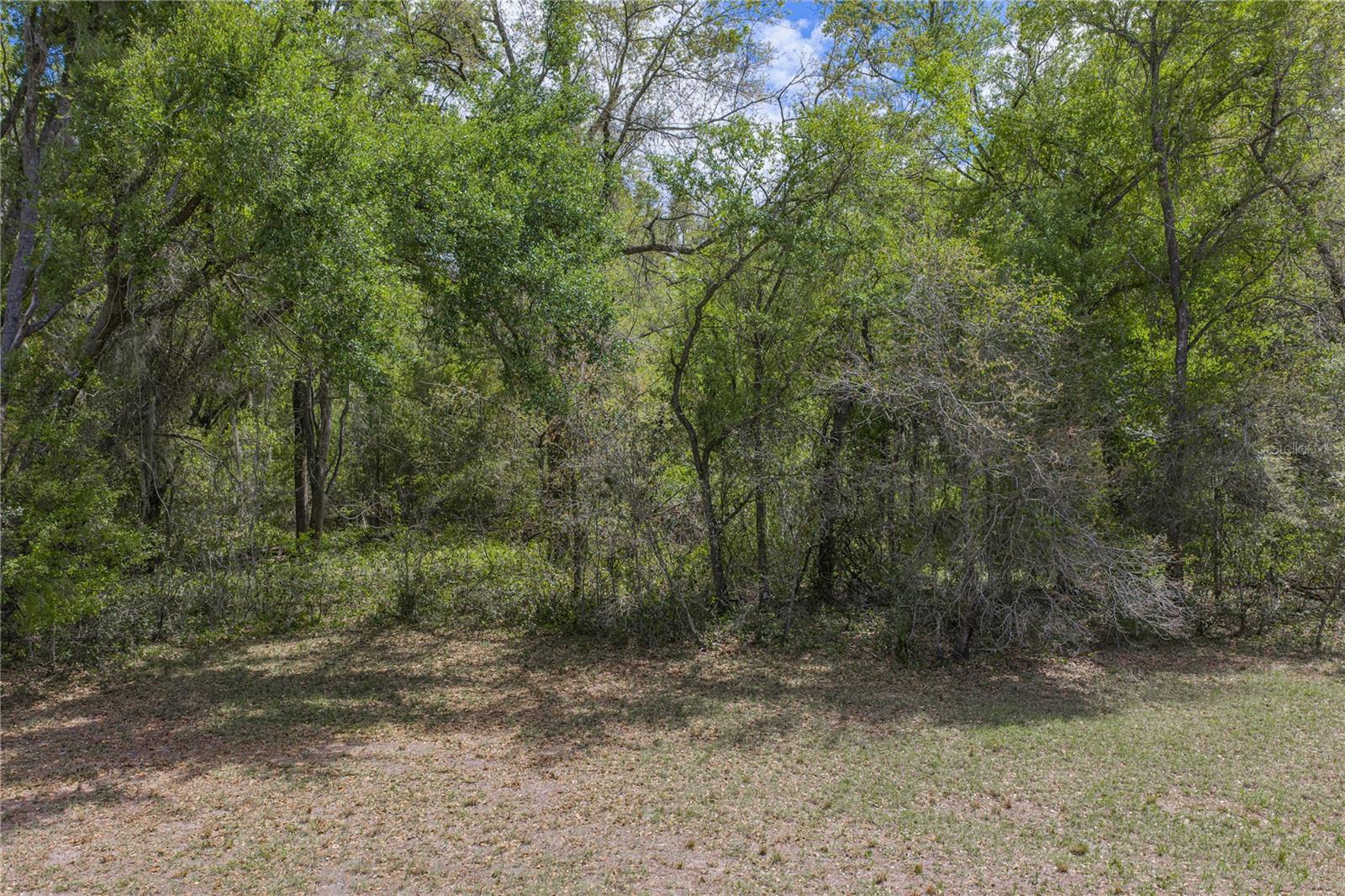 0 Clayton Rd Property Photo 22