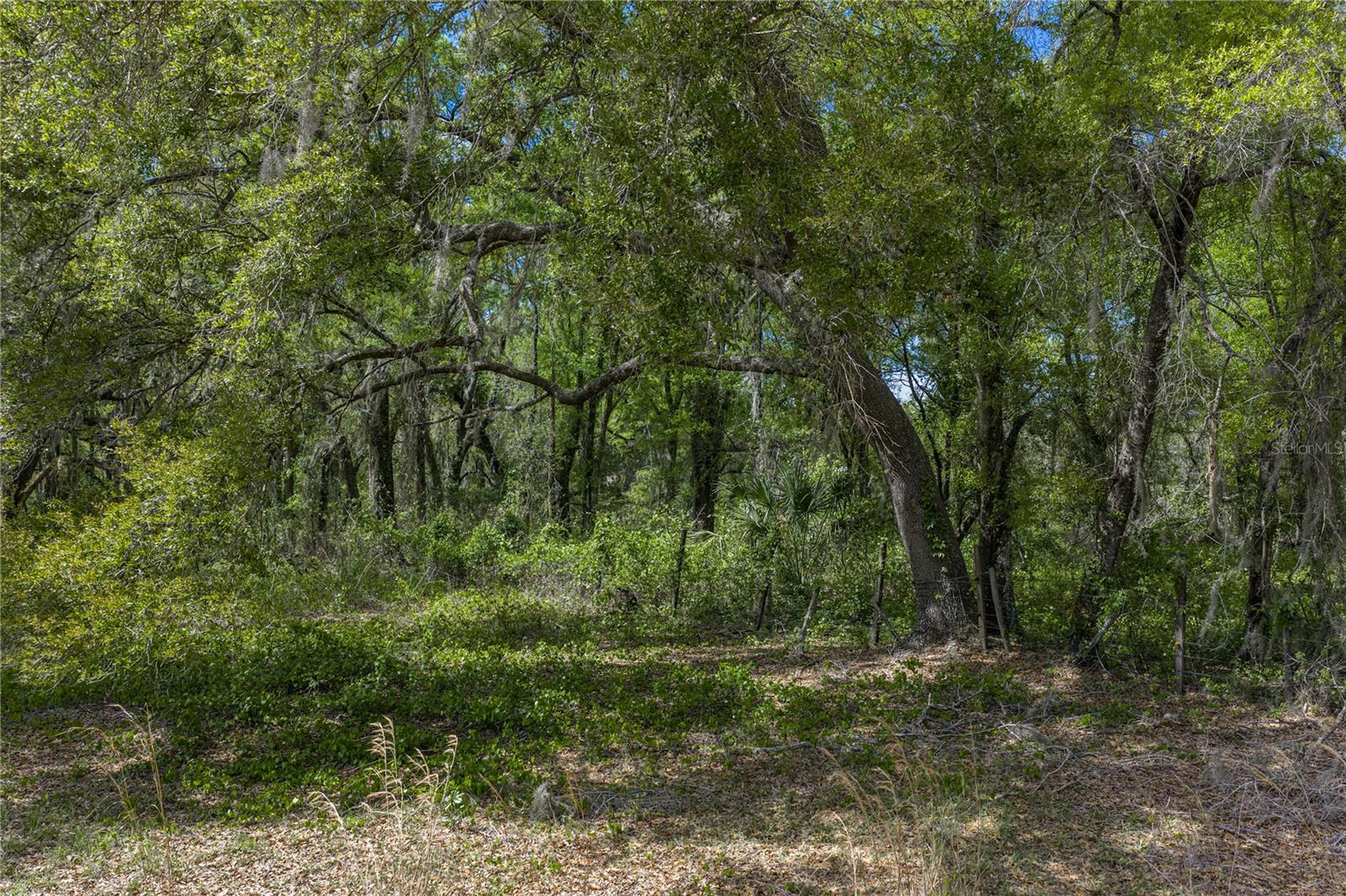 0 Clayton Rd Property Photo 31