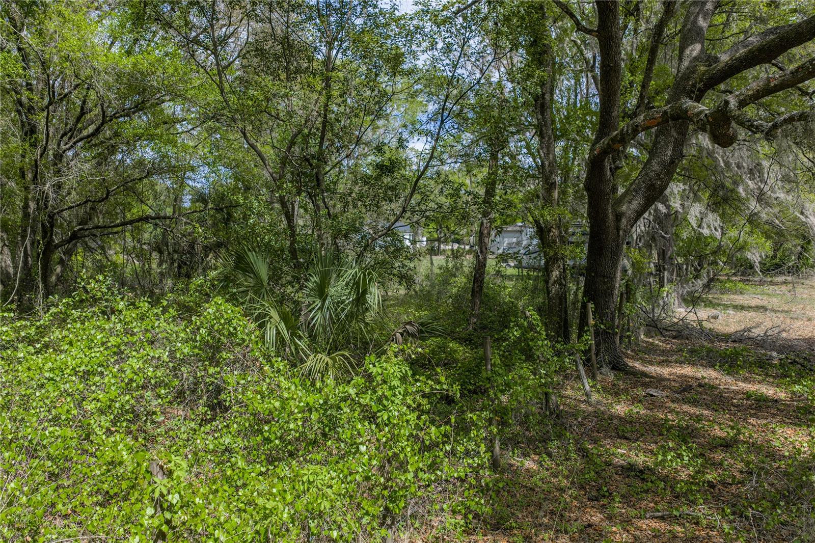 0 Clayton Rd Property Photo 34