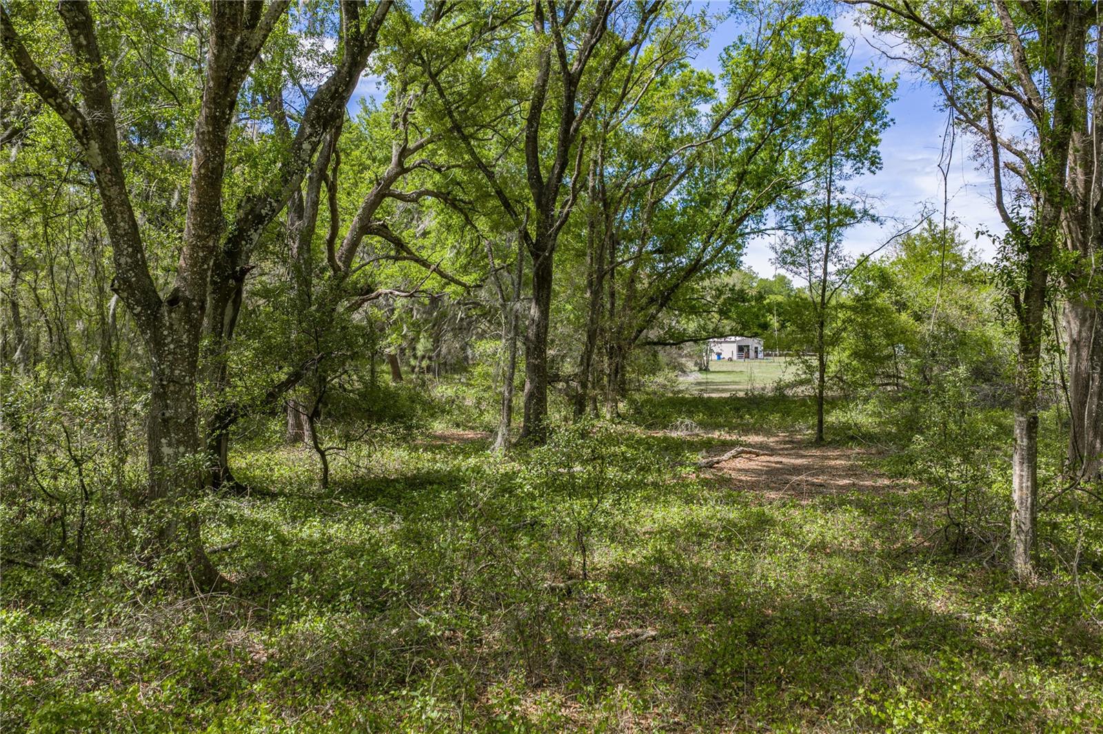 0 Clayton Rd Property Photo 35