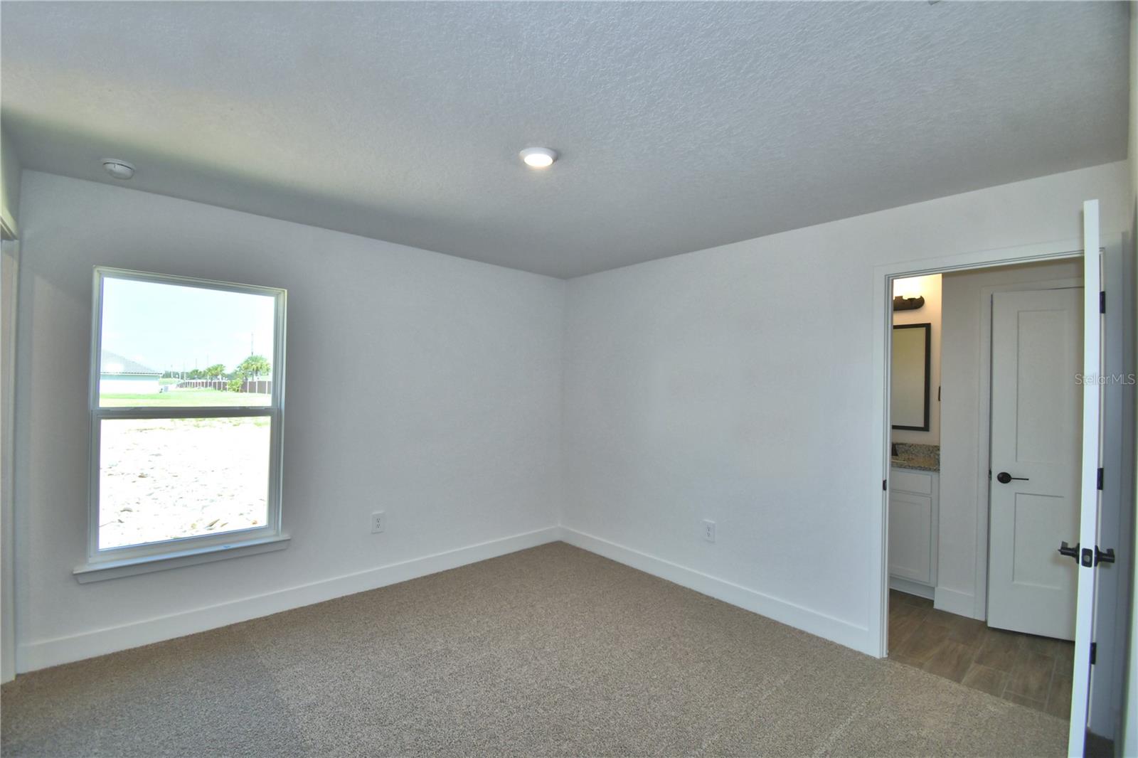 4467 Juliana Lake Dr Property Photo 26