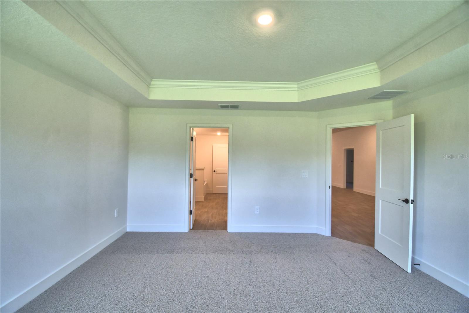 4467 Juliana Lake Dr Property Photo 33