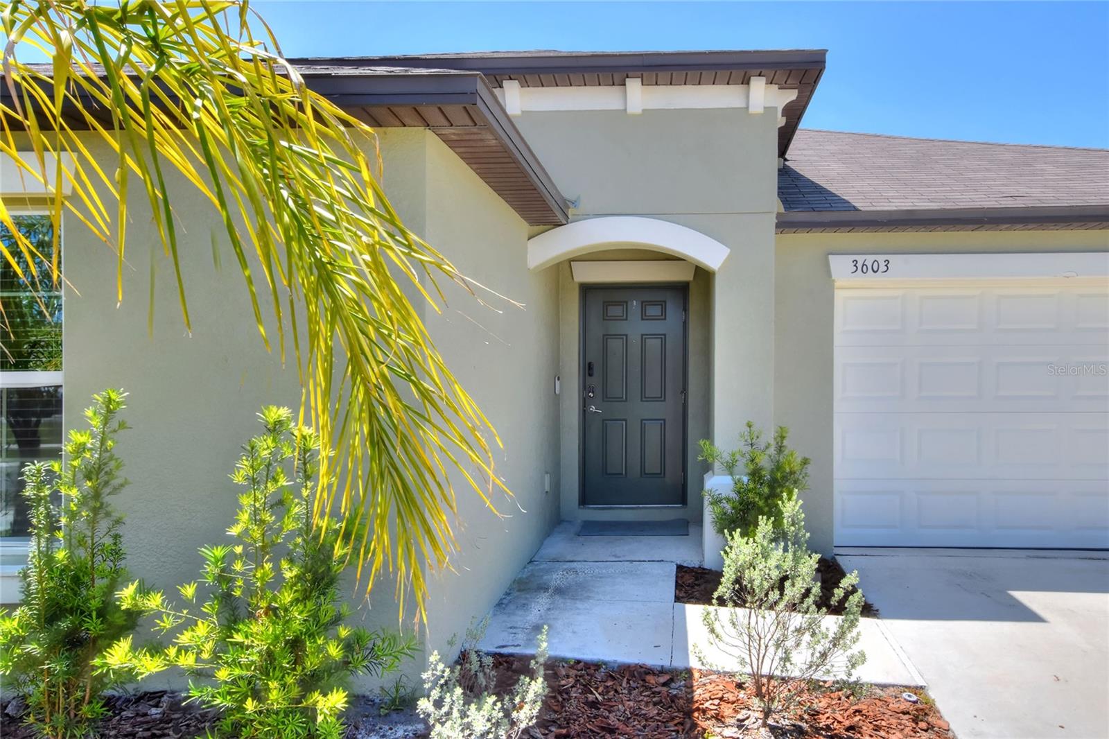 3603 Natural Trace St Property Photo 5