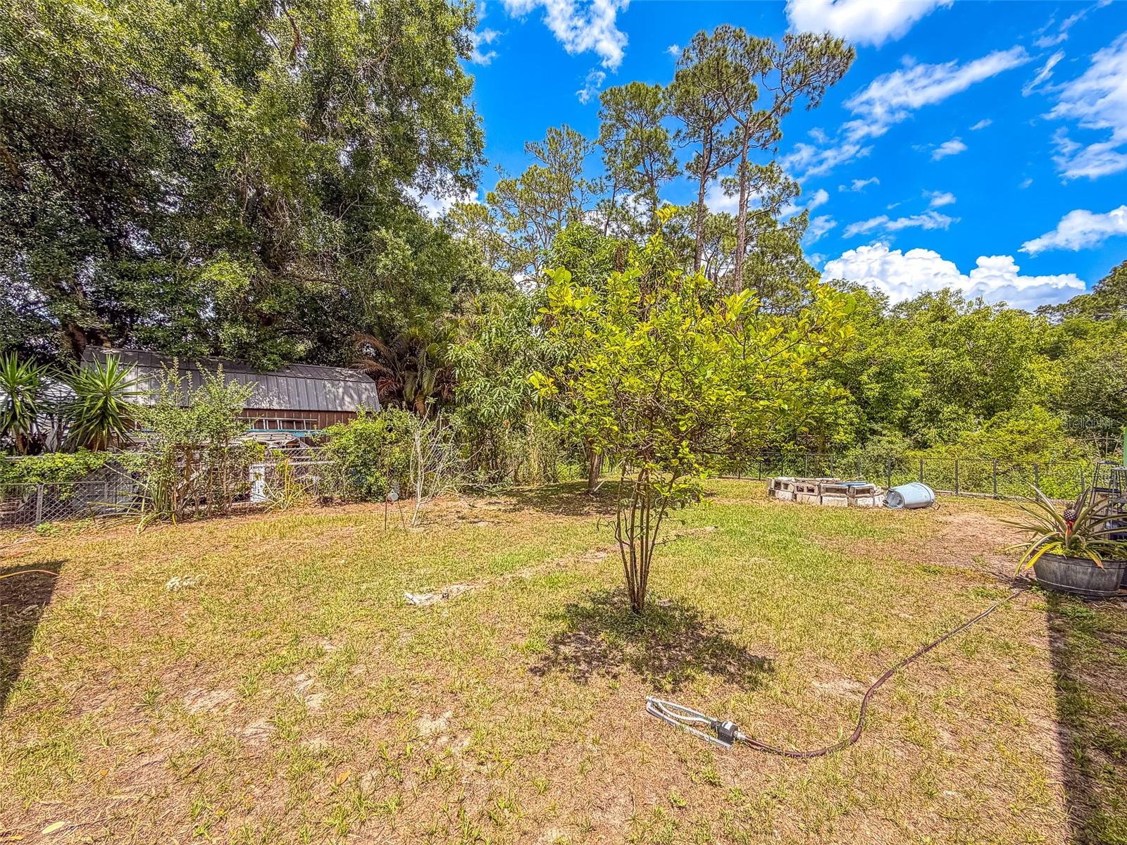 305 Cloverleaf Rd Property Photo 30