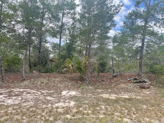 1342 HOMOSASSA DR Property Photo 1