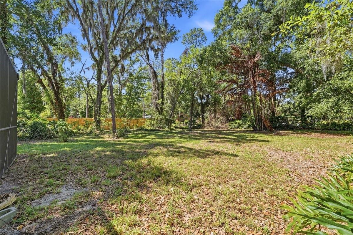 2800 Hammock Dr Property Photo 45