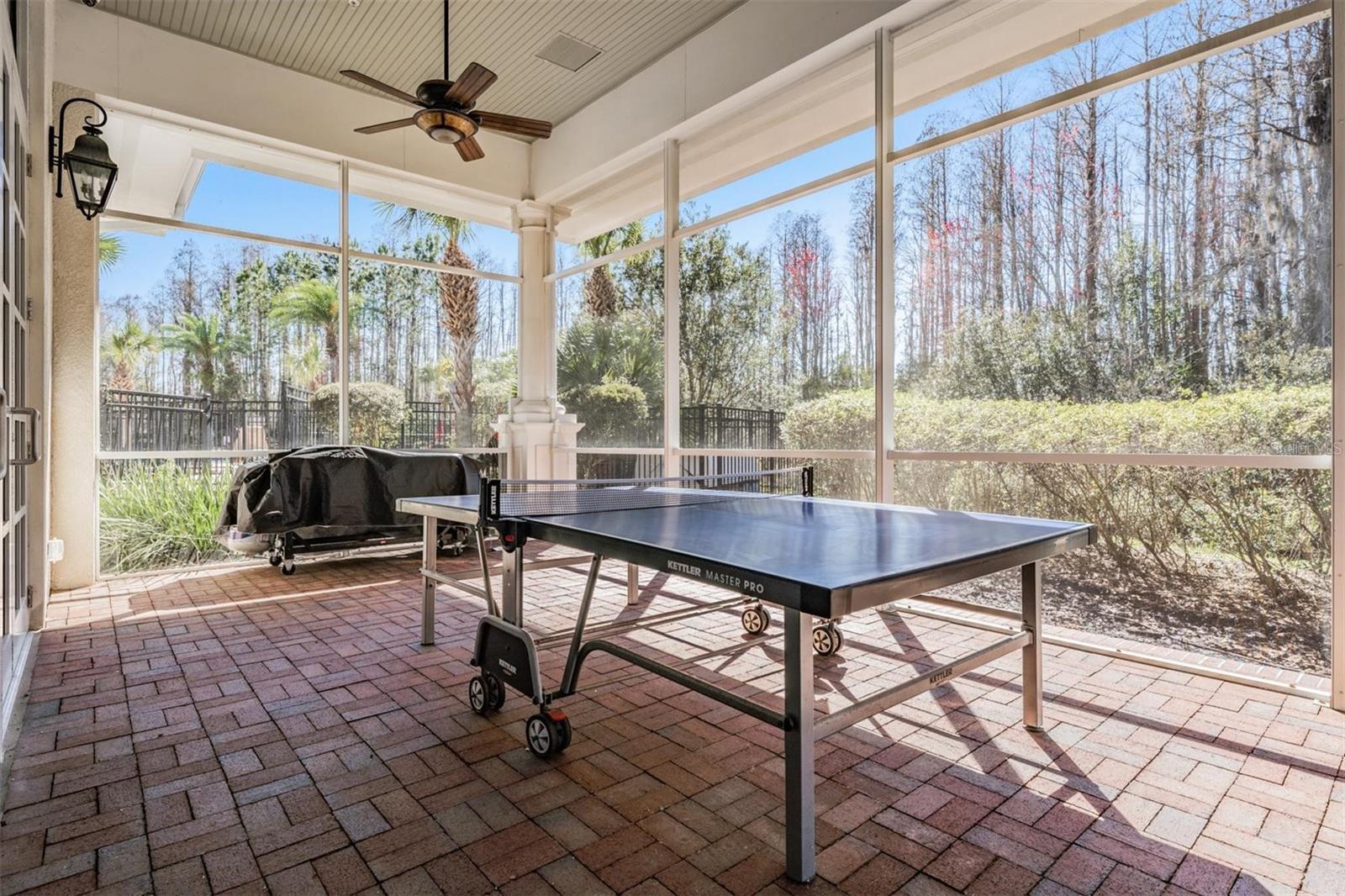 8721 Crystal Creek Ct Property Photo 70
