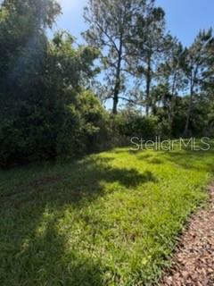 3918 Gaviota Dr Property Photo 25