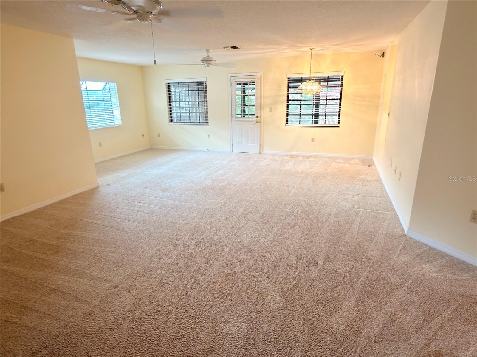 1241 Shamrock Dr Property Photo 5