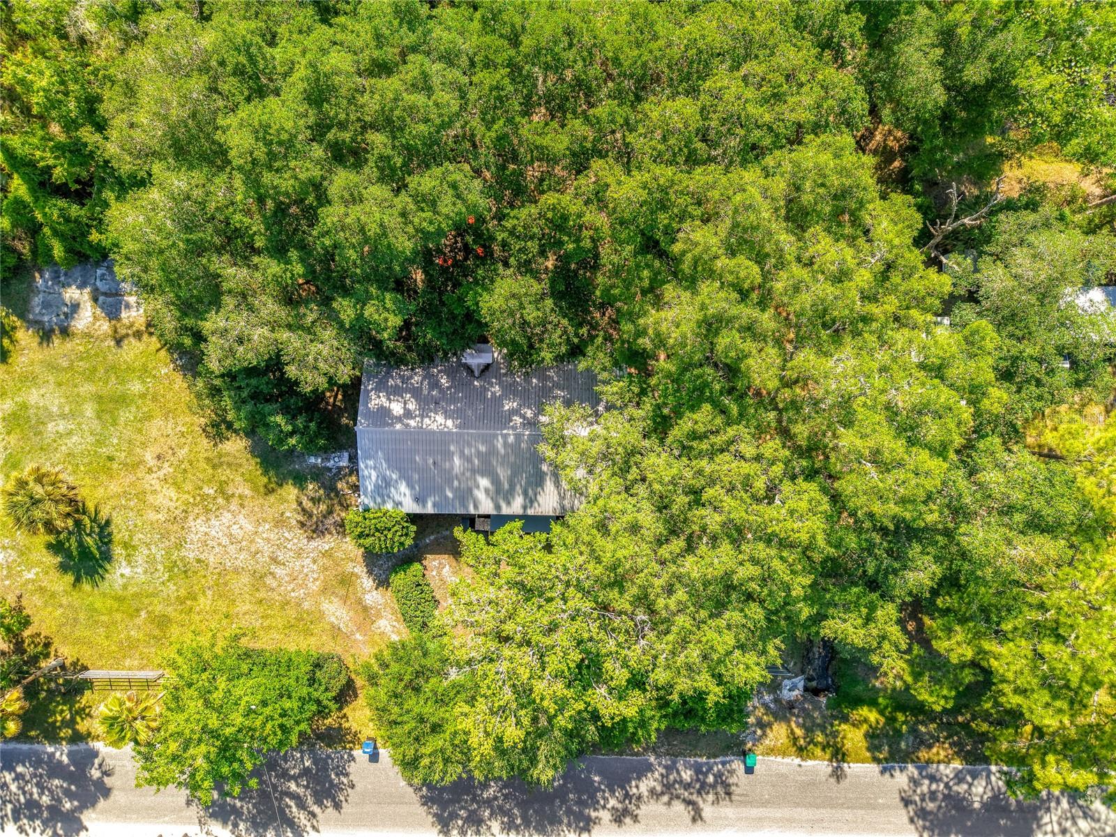 1338 Saint Nicholas Ave Property Photo 40