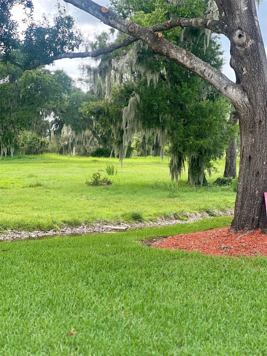 6118 Topher Trl #6118 Property Photo 10