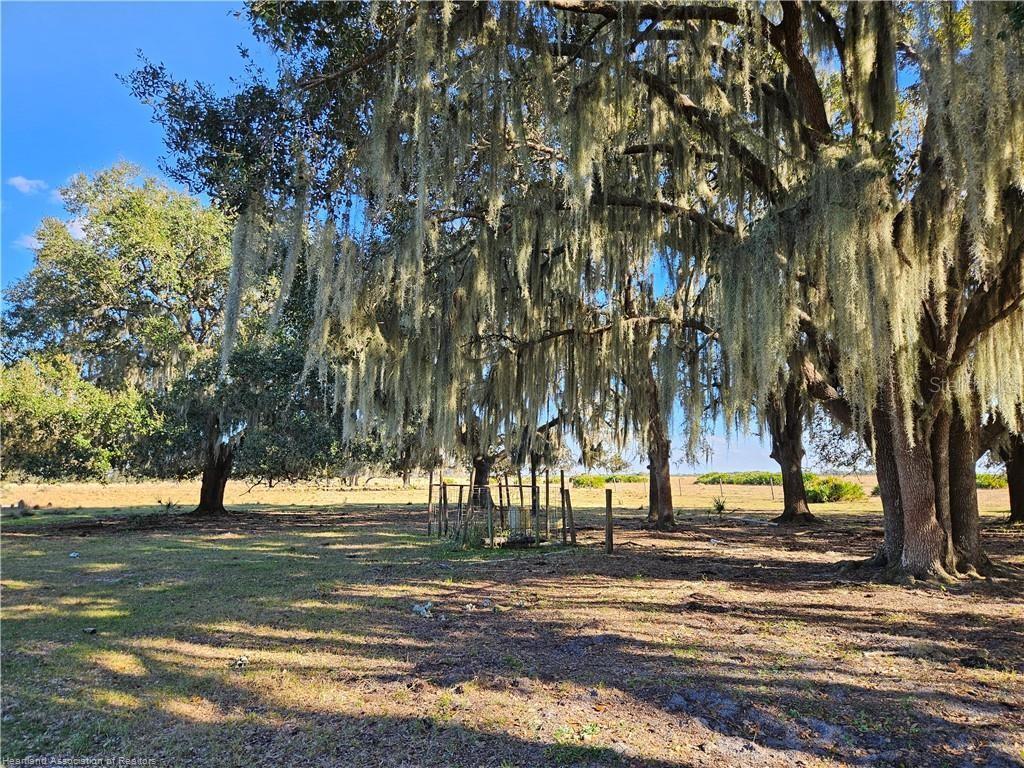 320 Grigsby Rd Property Photo 14