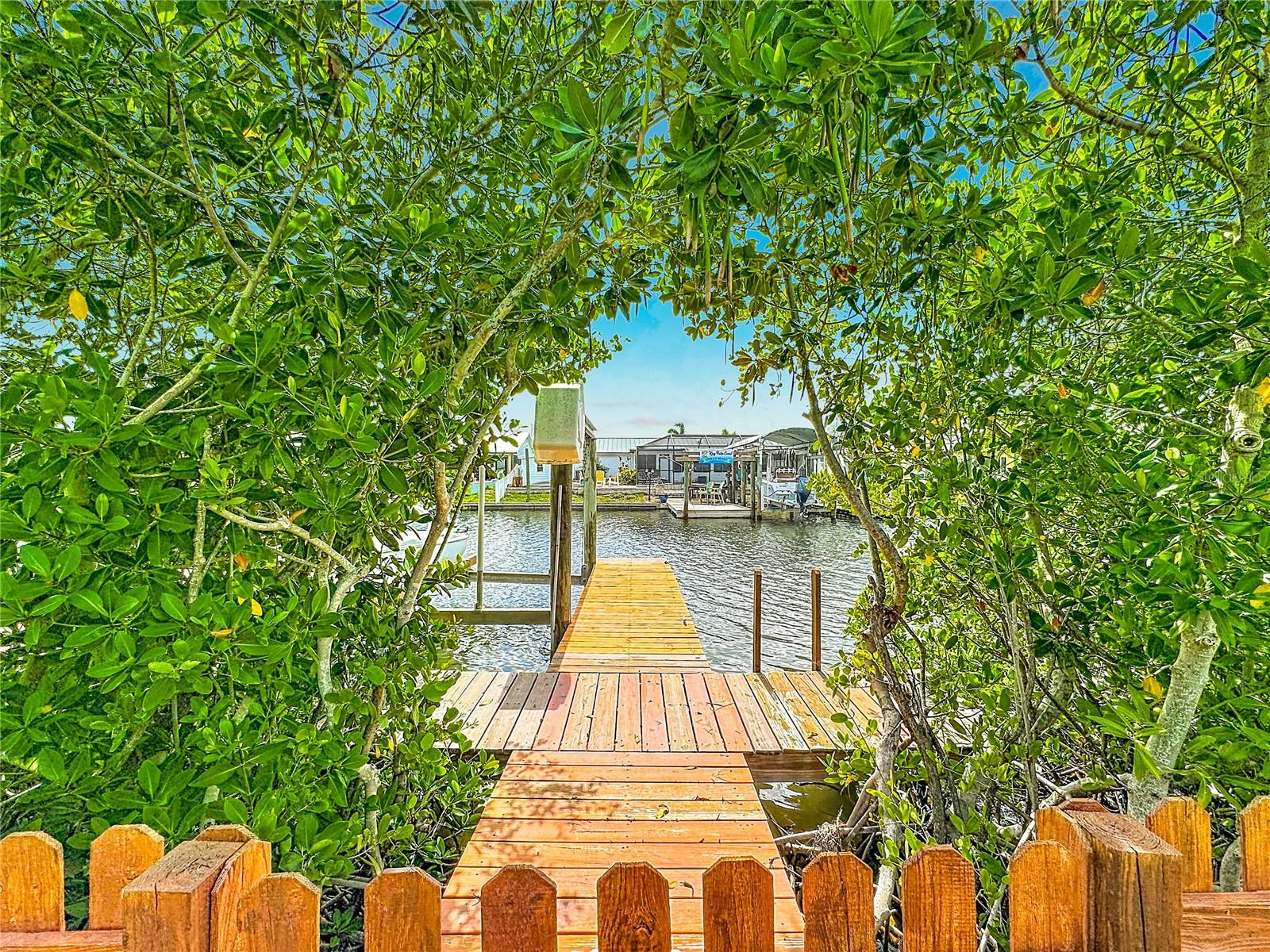 6517 Solitaire Palm Way Property Photo 48