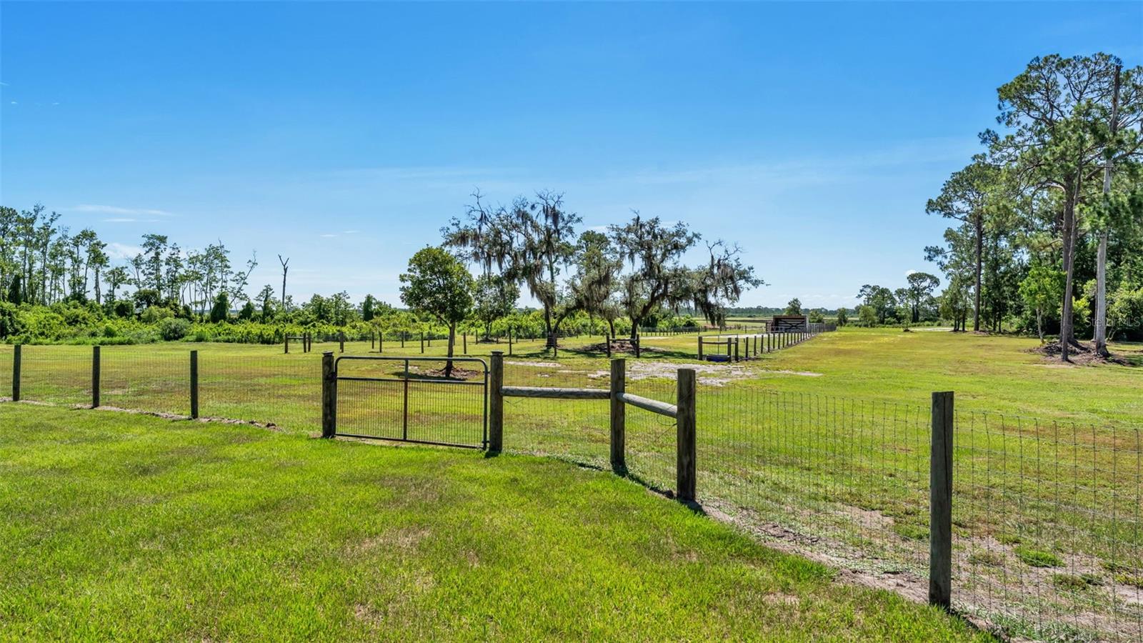 339 Mini Ranch Rd Property Photo 96
