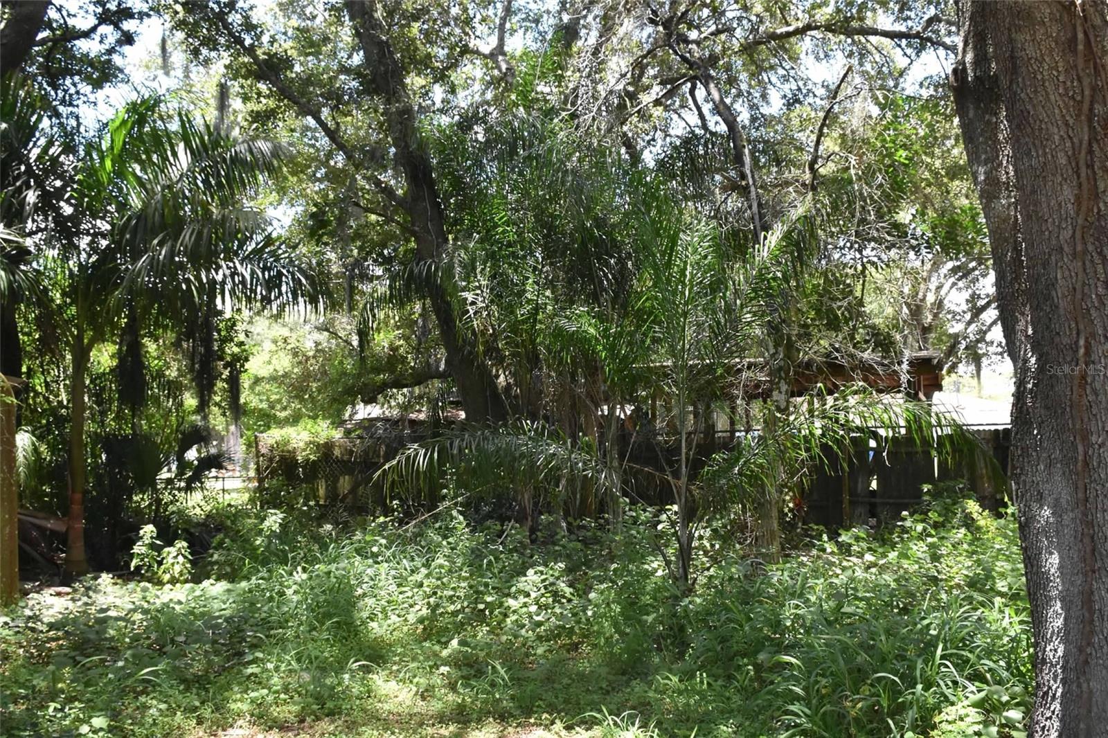 907 Pine St Property Photo 32