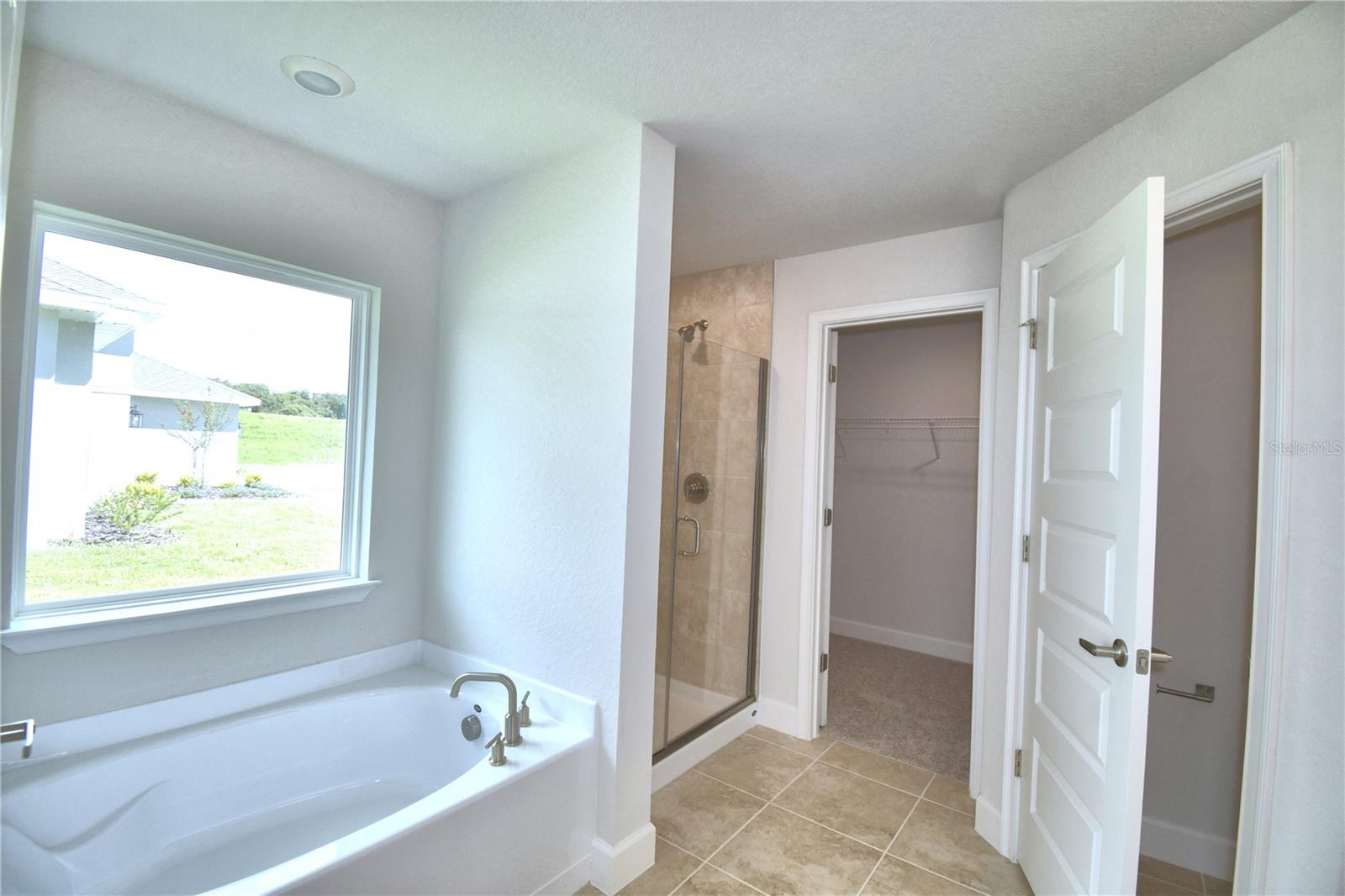 4624 Calamint Ln Property Photo 41