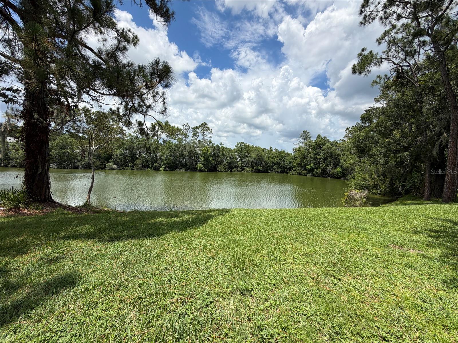15637 Morning Dr Property Photo 1