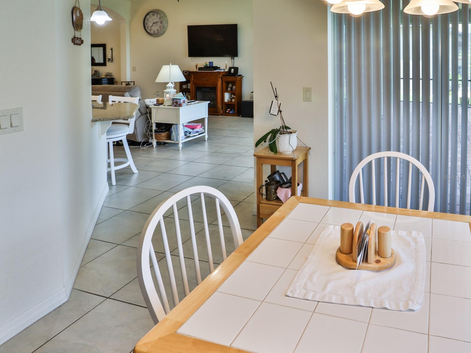 1061 Sawgrass Dr Property Photo 8