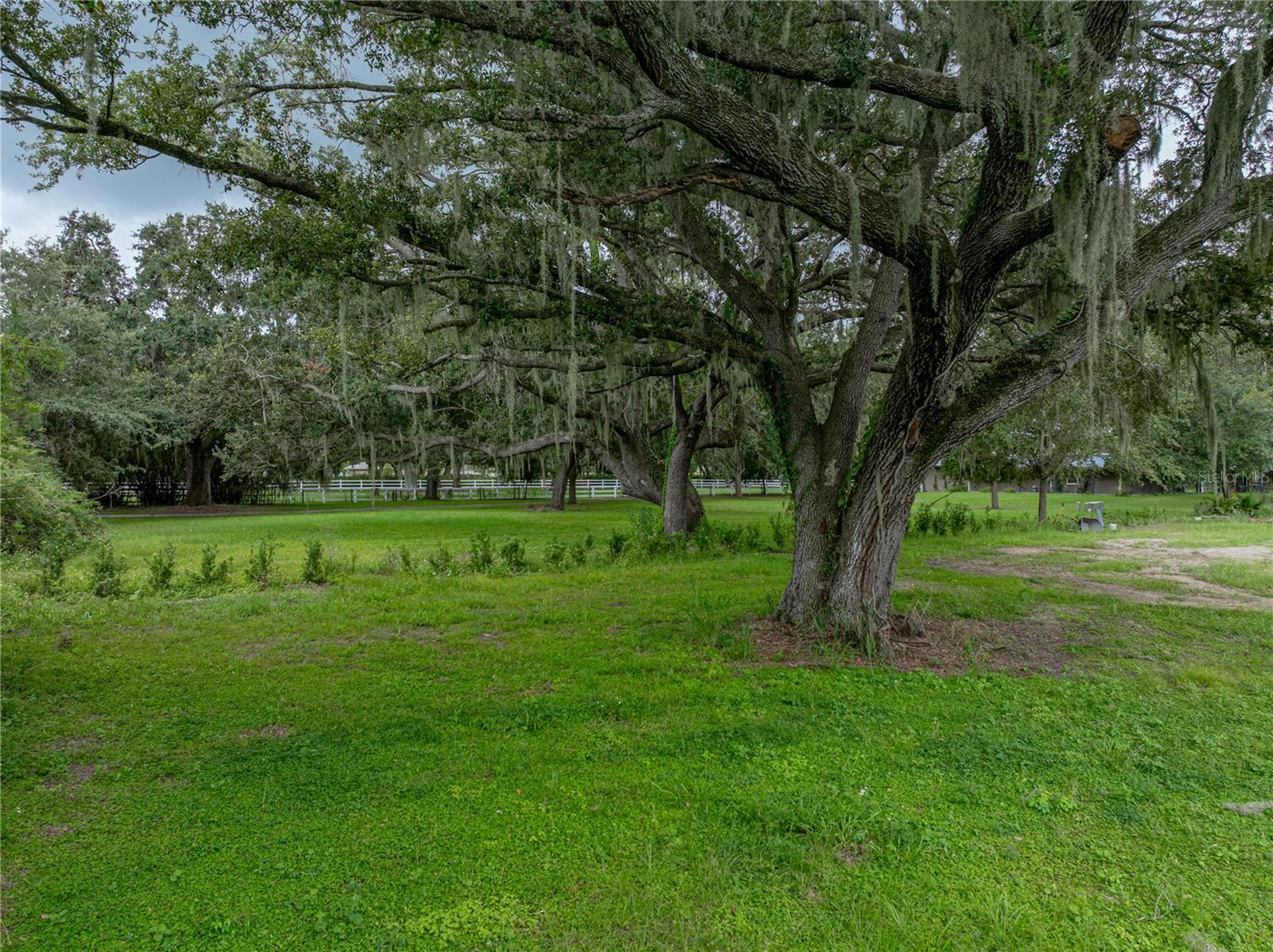 Old Berkley Rd Property Photo 4