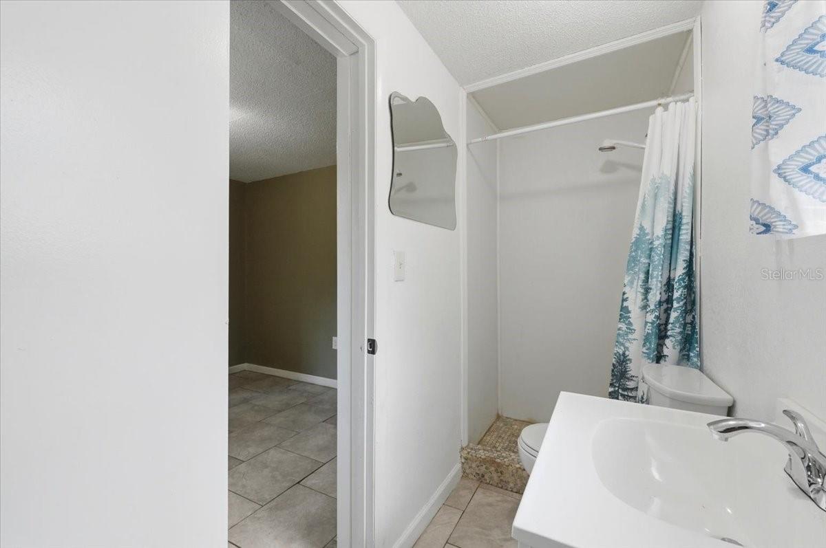 2418 Jungle St Property Photo 20
