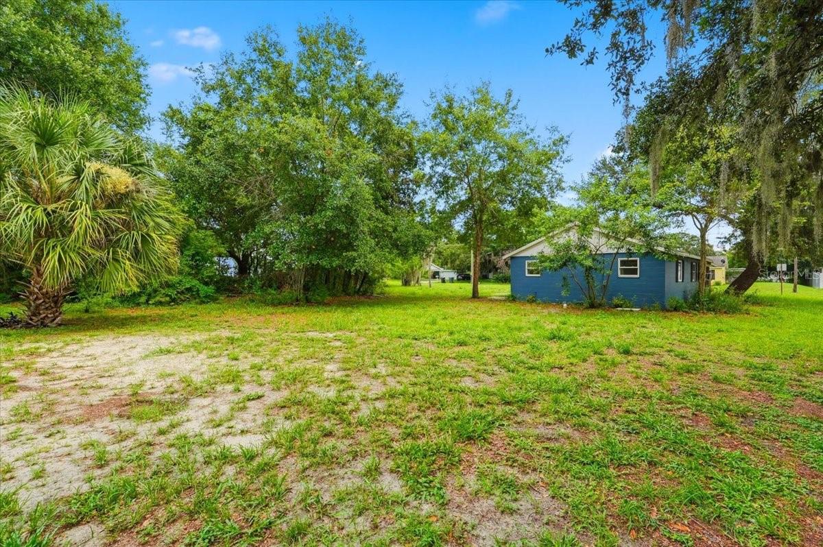 2418 Jungle St Property Photo 27