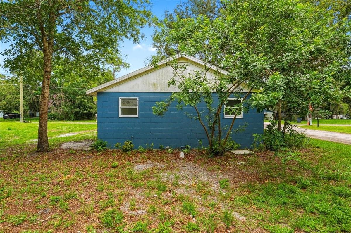 2418 Jungle St Property Photo 30