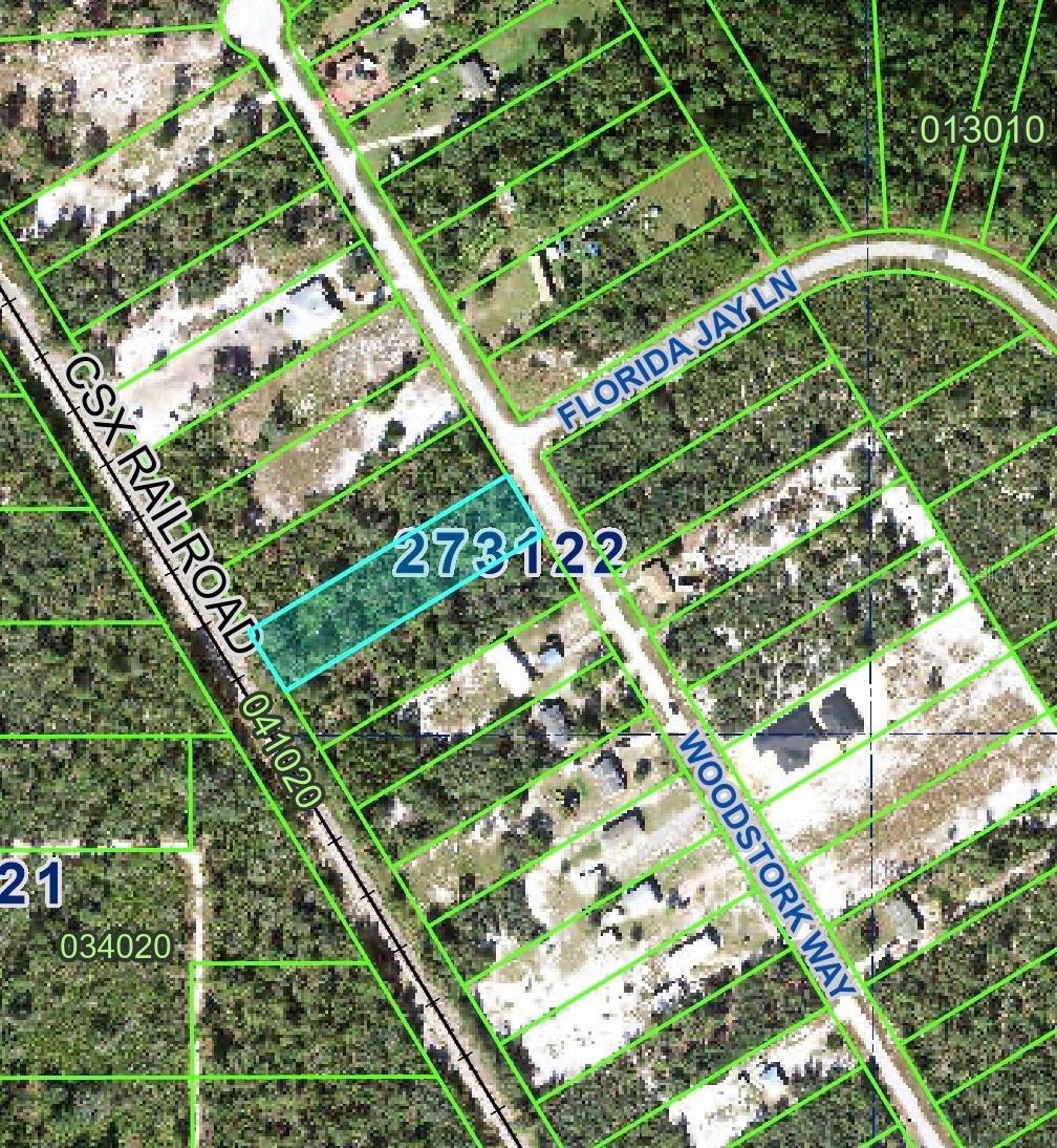 0 Woodstork Way Property Photo 2