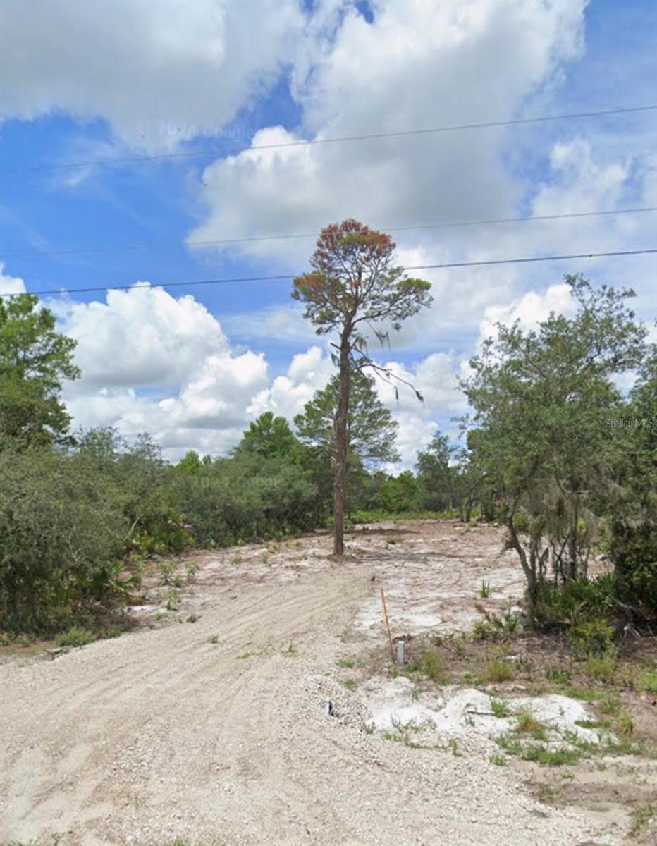 0 Woodstork Way Property Photo 5