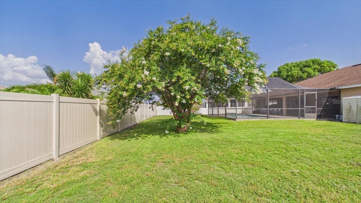 315 Lanceolate Dr Property Photo 46