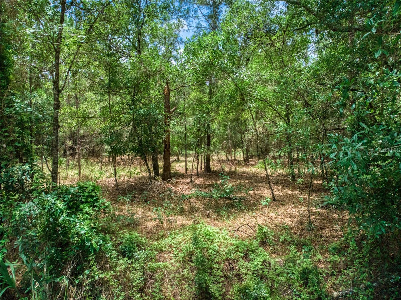 5101 Whippoorwill Rd Property Photo 1