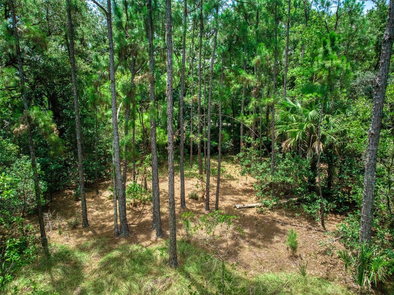 5101 Whippoorwill Rd Property Photo 12